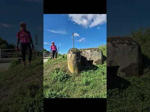 Z Dolních Věstonic do Mikulova a zpět