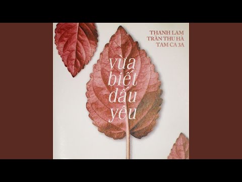 Cơn mưa lao xao - Trần Thu Hà