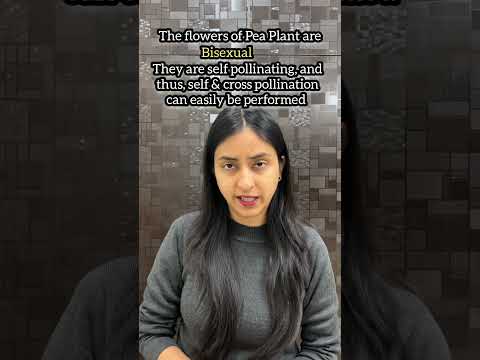 Gregor Mendel's Work in 50 seconds! #shorts #neet #biology