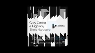 Gary Gecko & Pigbwoy - She's Hardcore - TV Rock Tease Remix