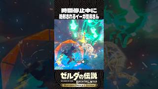 時間停止中に処刑されるイーガ団員さん【ゼルダの伝説 ブレワイ】