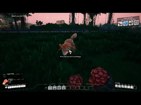 Oh look a lizard doggo.