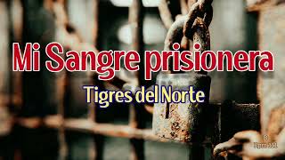 Mi sangre prisionera - Los tigres del norte (D) letra 