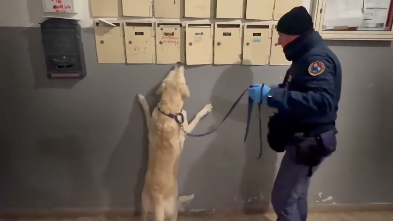 Mafia e narcotraffico, 22 arresti a Siracusa