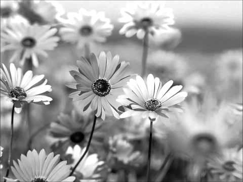 Abu Hakeem Umrah Guide Part 1