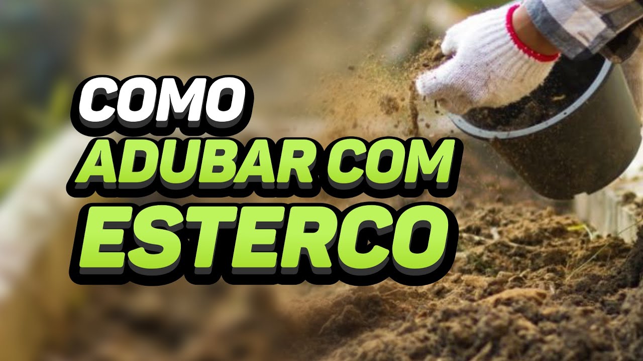COMO ADUBAR COM ESTERCO