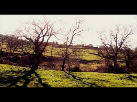 The Explosion Rockets - Little Bird