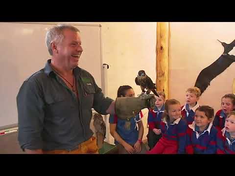 Raptor Refuge