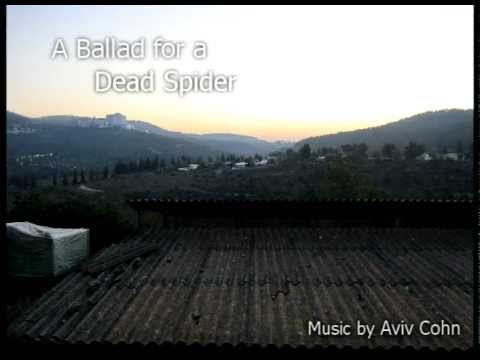 A Ballad for a Dead Spider - Original Composition