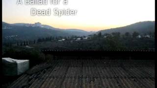 A Ballad for a Dead Spider - Original Composition