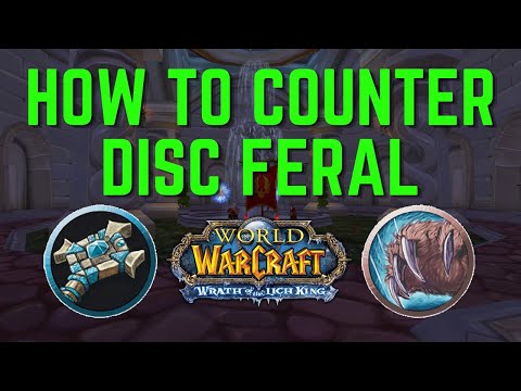 How to Counter Disc Priest Feral in Wotlk Arena PvP