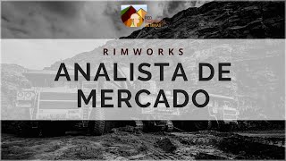 ¿Qué hace un Analista de Mercado? – RIMWorks