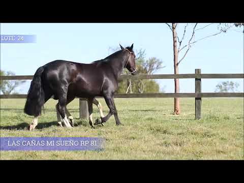 LOTE 24 LAS CAÑAS MI SUEÑO RP 81