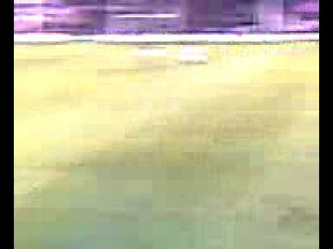 harlequins vs stade francais