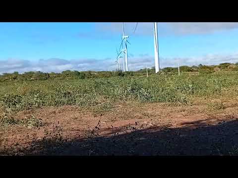 Nossa região caldeirão Grande do Piauí tem produção de mandioca geração de energia eólica e solar 