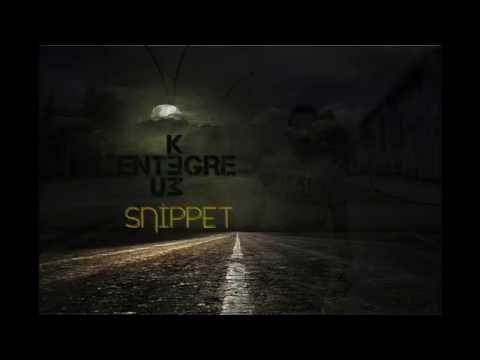 Entegre - ''Ketum-Snippet '' (2016)