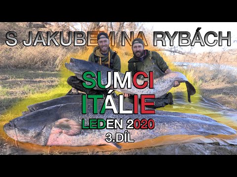 S Jakubem na rybách - Sumci - Itálie - Leden 2020 3. díl
