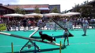 preview picture of video 'Sara & Lucy Agility Dog Esibizione Franciacorta Outlet Village 07/06/2009'
