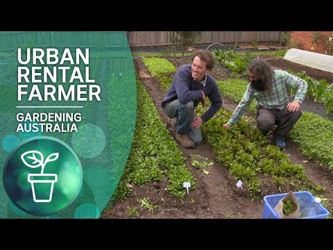 download lagu mp3 mp4 Urban Farming Movement, download lagu Urban Farming Movement gratis, unduh video klip Urban Farming Movement