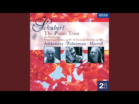 Schubert: Piano Trio No. 1 in B flat, Op. 99 D.898: 2. Andante un poco mosso