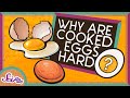 Why Does Cooking Eggs Make Them Hard? | The Science of Cooking | SciShow Kids