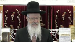 הרב הגאון אברהם יוסף שליט"א מה לומדים מזאת תורת המצרע פרשת תזריע מצרע תשפ"ו
