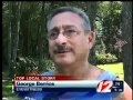 Woman Stung By Wasps