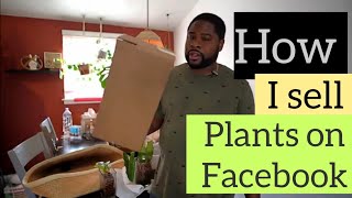 How I Sell Plants on Facebook