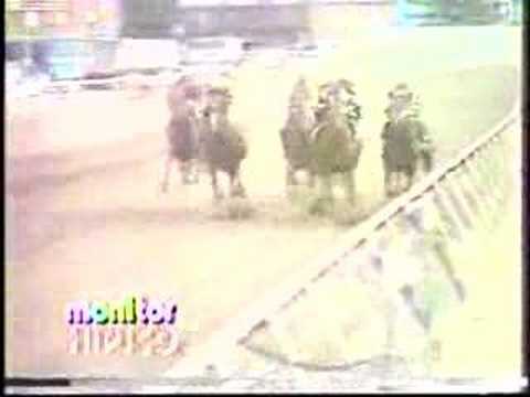 Preakness Stakes 1978