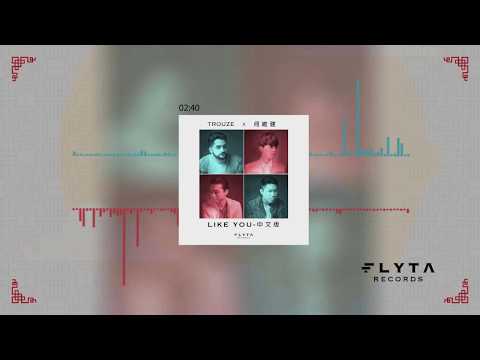 Trouze x Derrick Hoh (何维健) -  Like You (中文版官方版)