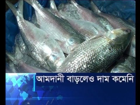 ইলিশের আমদানী বাড়লেও দাম কমেনি