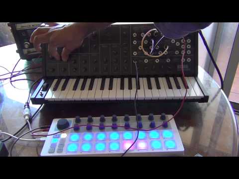 Arturia Beatstep & Korg MS 20 mini