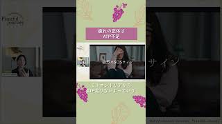 ウェルネスセミナーDAY1