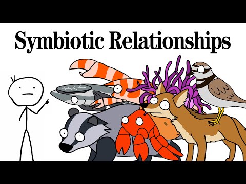 Interesting and Bizarre Animal Symbiotic Relationships #animals #nature #biology