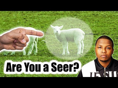 How to Know if You Are a Seer Prophet