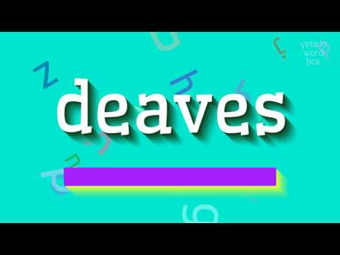 How to say "deaves"! (High Quality Voices)
