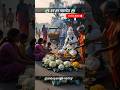 Mahadev Laga Hai Song Shiv Bhakti Version Short Mahadev Status Video