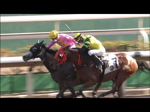 6/2/2021 (406) Dragon Commander/ Fairy Floss -  J Moreira/ Derek Leung (Dead heat!)