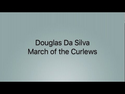Douglas Da Silva: March of the Curlews
