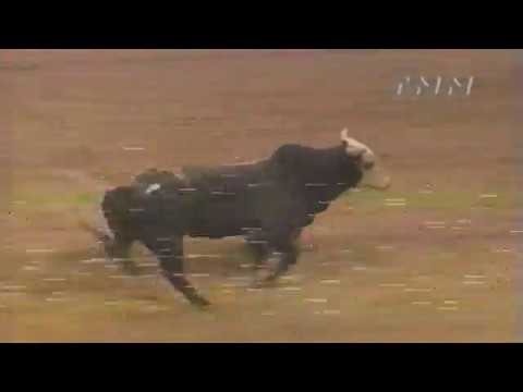 Danny Varnadore vs Hard Copy - 99 PBR Finals (89 pts)