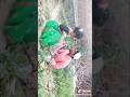 Gadhavach Lagan Movie Comedy Scenes Gadhvache Lagna Gadhvache Lagna Movie Comedy Funny