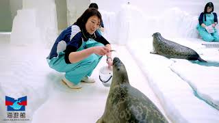 大阪にある世界最大級の水族館「海遊館」。510C_16-9