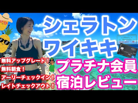 芸術・表現行動学科 【シェラトンワイキキ宿泊記】オーシャンビューのお部屋プラチナ会員レビュー！朝食やプールは？