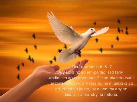 Fihirana ffpm 336 Ampodio izahay