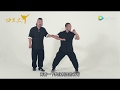 Baji Quan LiangYi Position By Qiu BaoLong Sub Fr Eng