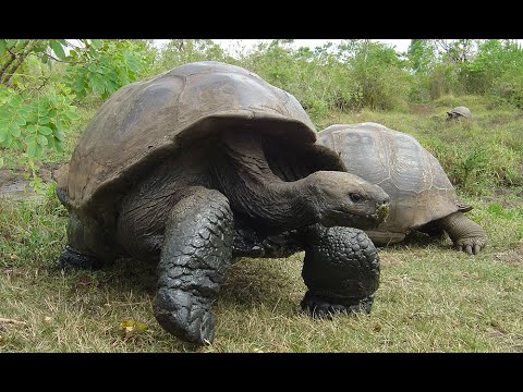Montemar Luxury Eco Villas Galapagos Totally Latin America