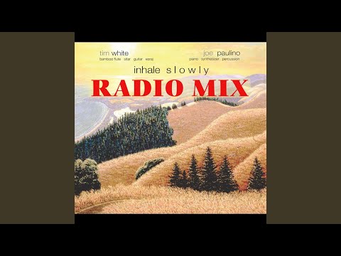 Hidden Oasis (Radio Mix)