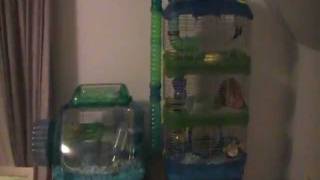 WARE Critter universe cage.