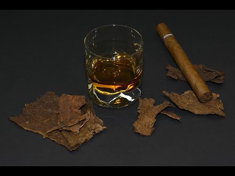 Haullistic - It's Okay (Official Video)