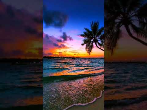 ELLE--AIME--SHIPA--2024💕💕